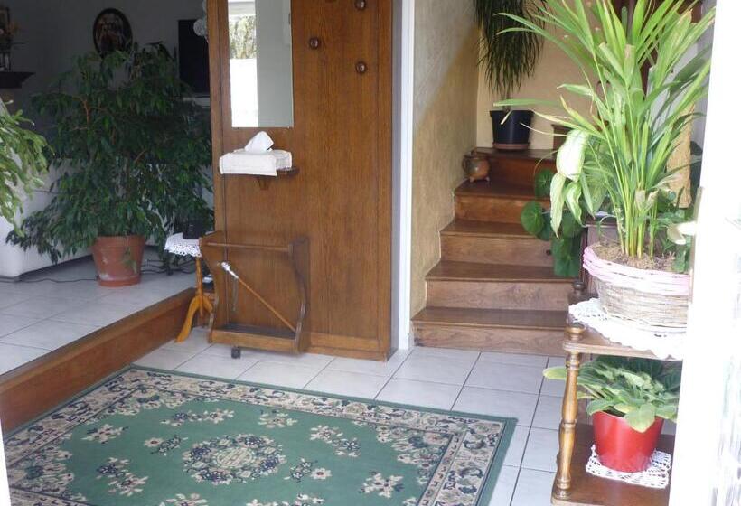 ベッドアンドブレックファースト Les Hirondelles Du Paradis 6 Rue Des Oiseaux