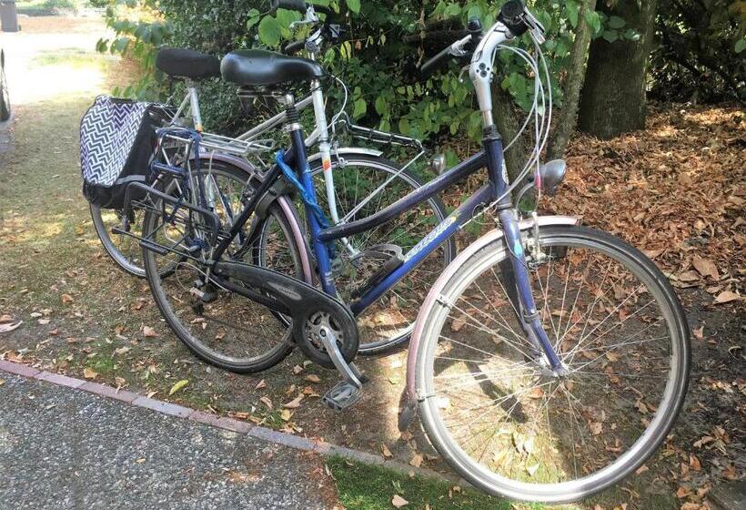 צימר Mango House Homestay