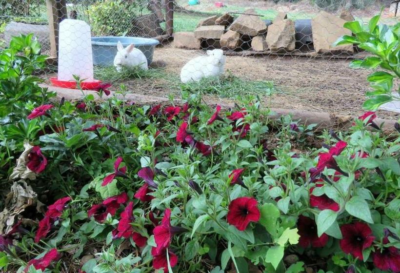 צימר Old Inchgarth Farmstay