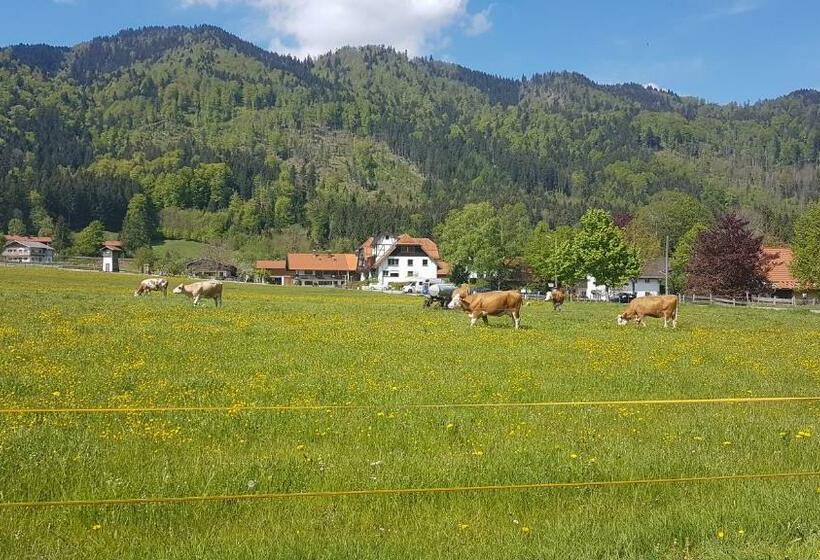 Bed and Breakfast S´quartier Am Schliersee