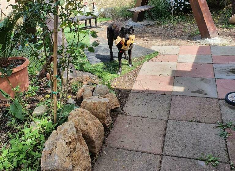 ベッドアンドブレックファースト Stella Sulcitana