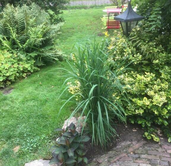 Bed and Breakfast The Teaspoon