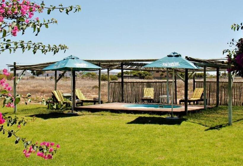 Bed and Breakfast Tortoise Trail Lodge