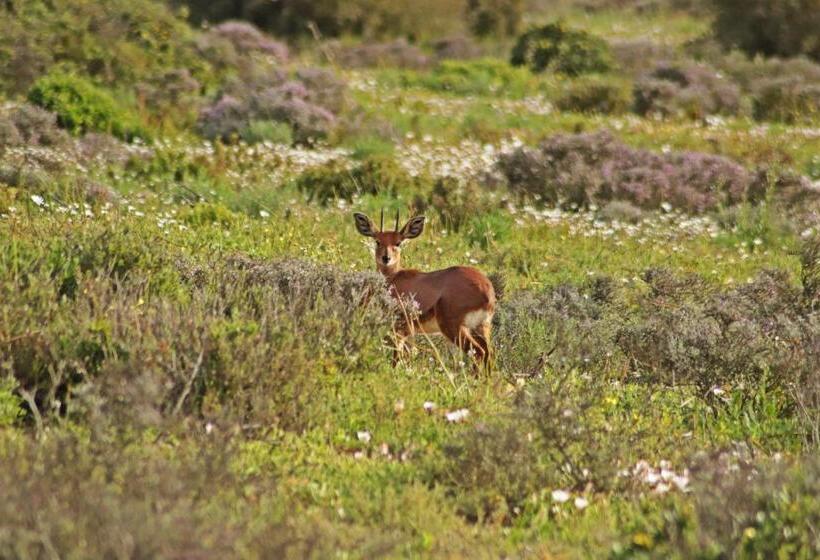 Bed and Breakfast Tortoise Trail Lodge
