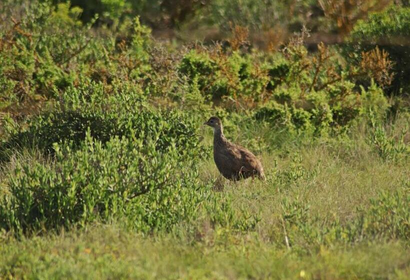 Bed and Breakfast Tortoise Trail Lodge
