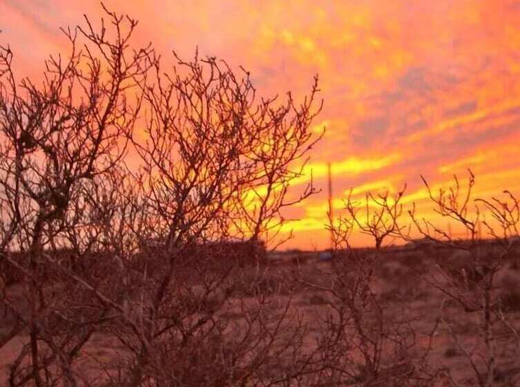 Bed and Breakfast Tortoise Trail Lodge