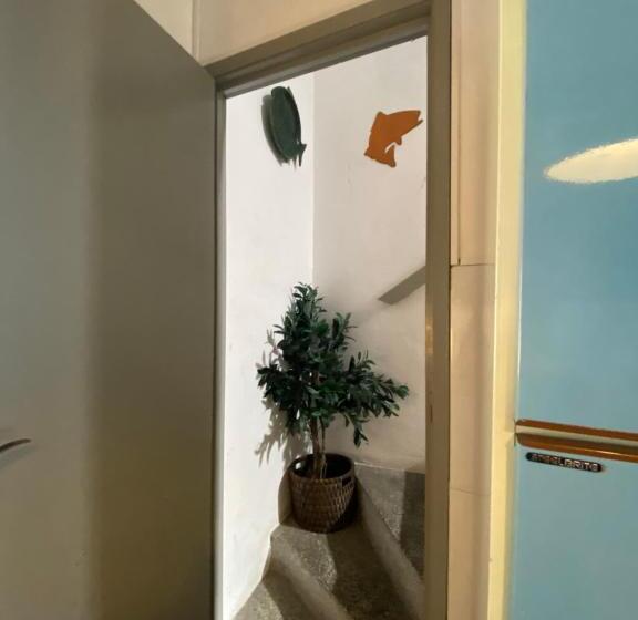 הוסטל Eskama Guest House