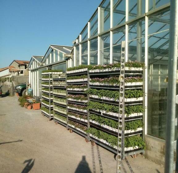 ホテル Agriturismo Alla Mal Parata