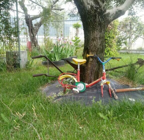 ホテル Agriturismo Alla Mal Parata