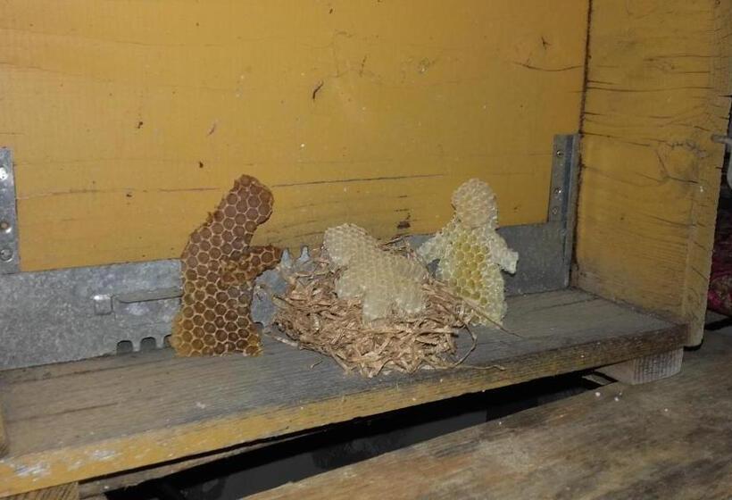 ホテル Agriturismo Alla Mal Parata