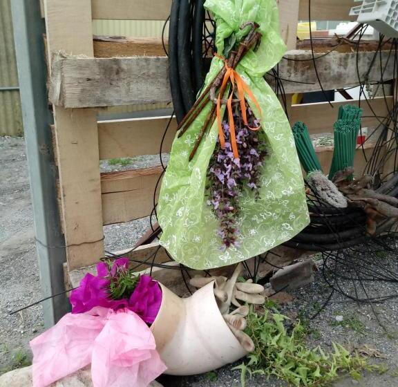 ホテル Agriturismo Alla Mal Parata