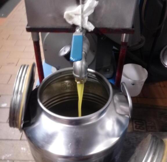 ホテル Agriturismo Alla Mal Parata