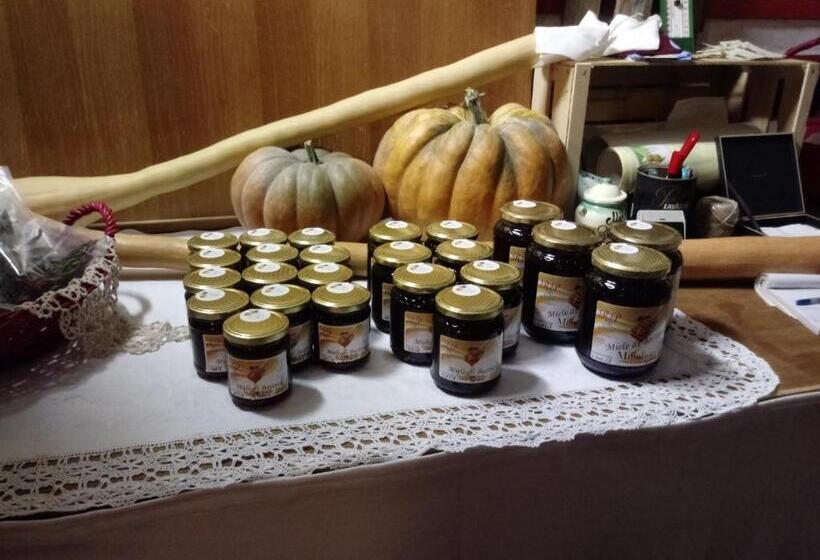 ホテル Agriturismo Alla Mal Parata