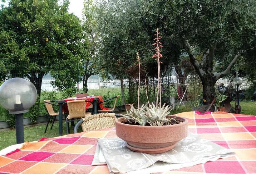 ホテル Agriturismo Alla Mal Parata