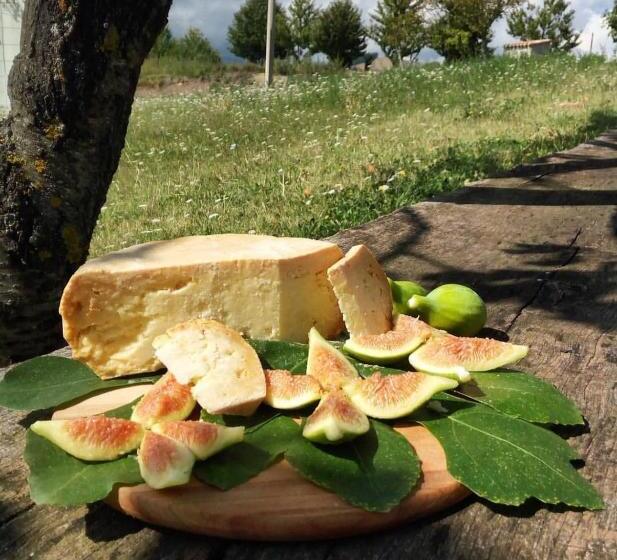 호텔 Agriturismo Bellavista