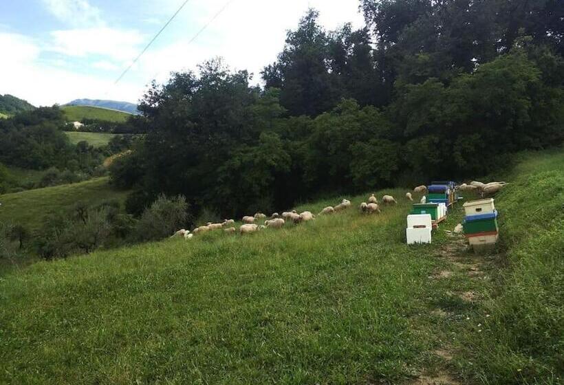 호텔 Agriturismo Bellavista