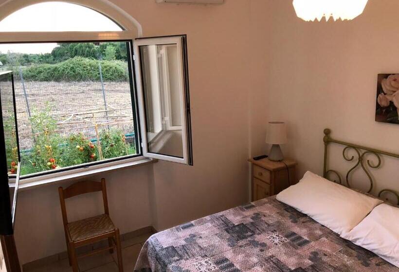 בית מלון כפרי Agriturismo Lo Zafferano