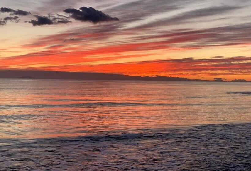 هتل Agriturismo Podere Il Leccio