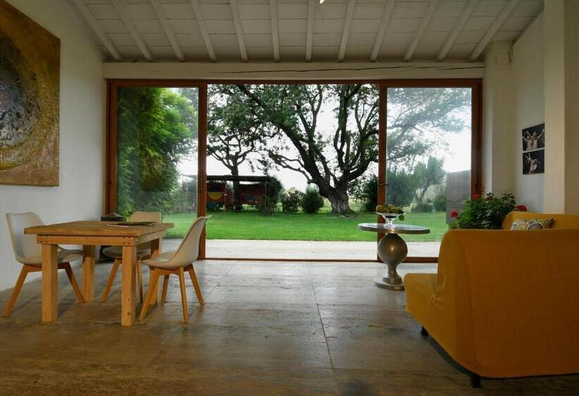 هتل Agriturismo Podere Il Leccio