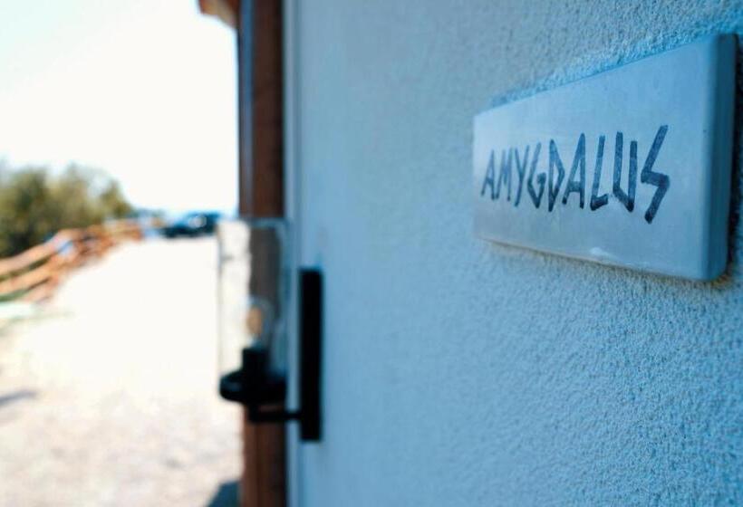 ホテル Country House “ Il Mandorlo”