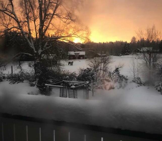 فندق Det Gamla Panget