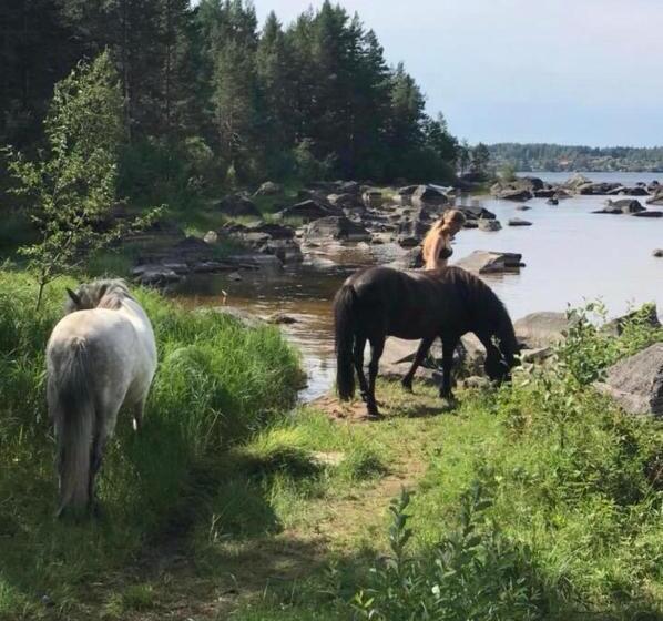 فندق Det Gamla Panget