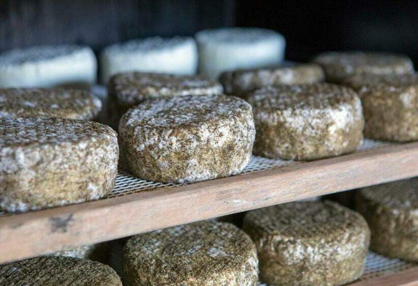 酒店 La Frasera Alojamiento Rural