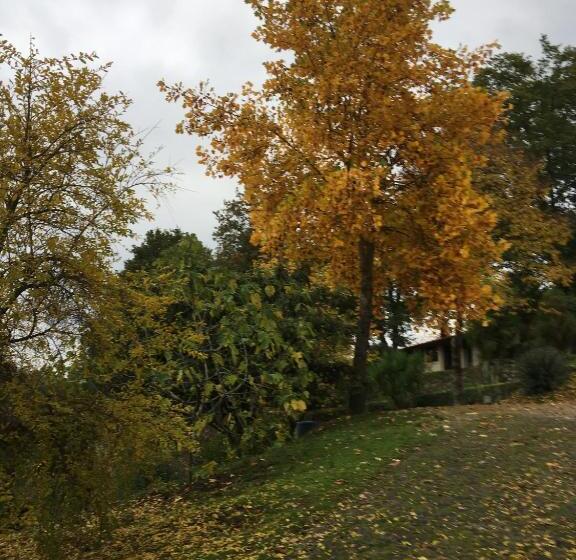 Отель Quinta De Silharezes, Lda