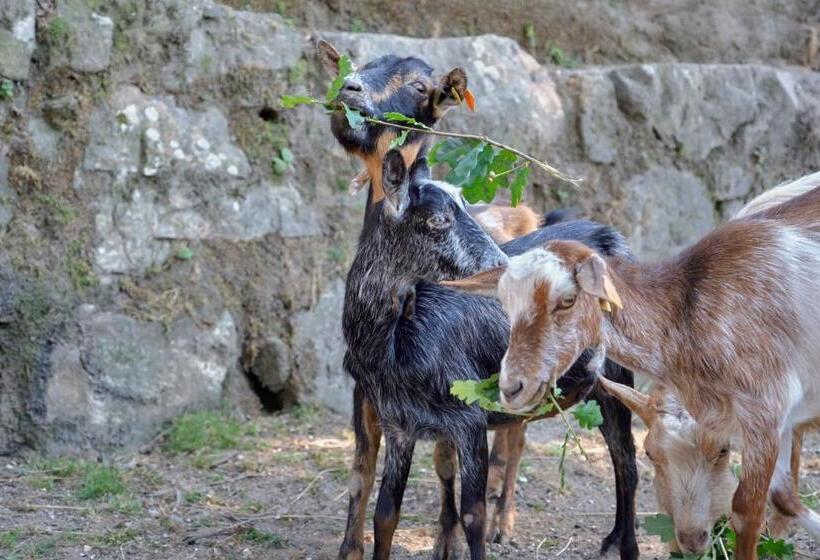 Отель Quinta De Silharezes, Lda