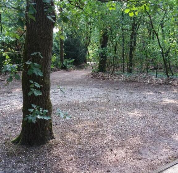 בית מלון כפרי Witte Wieven Bungalow 17