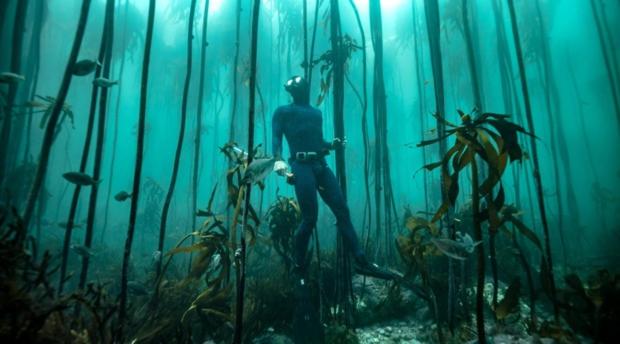 On The Square Luxury Apartment