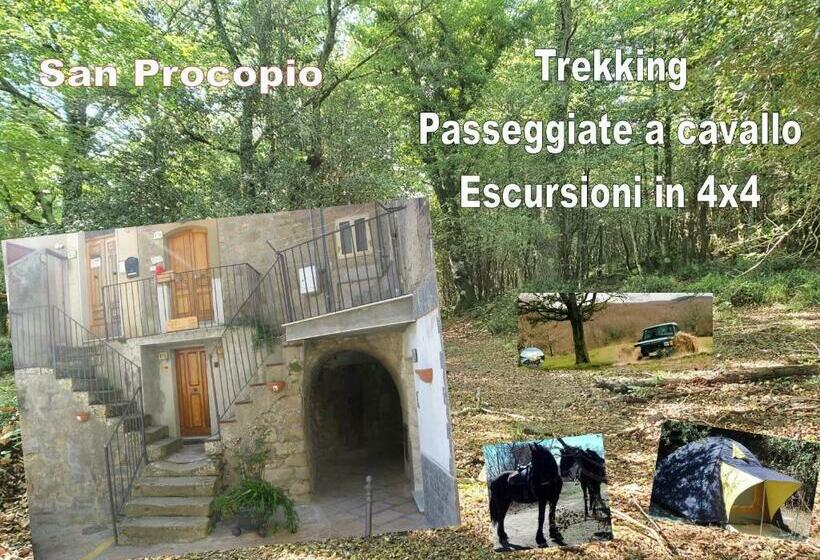 Пансион Affitta Camere San Procopio