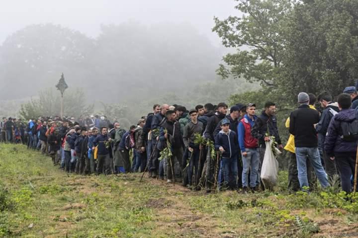 Пансион Affitta Camere San Procopio