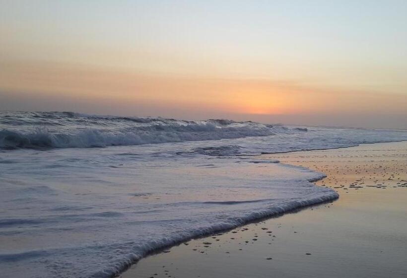 ペンション Amelia S By The Sea