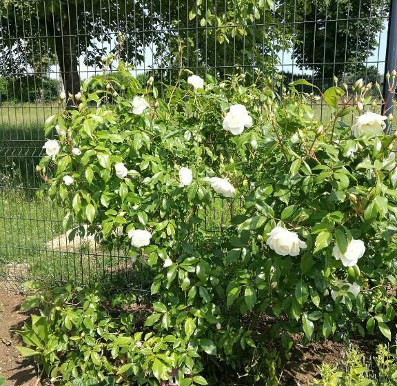 膳宿费 Cathy Et Eric