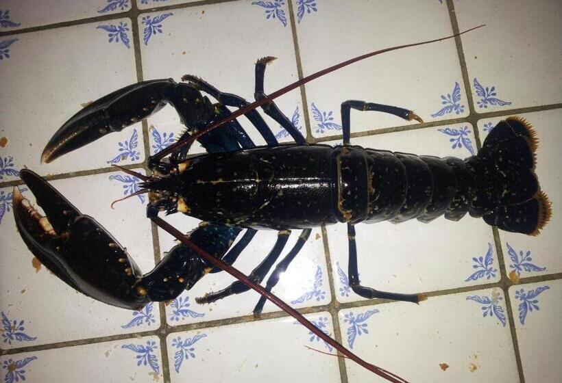 پانسیون Chambre Spacieuse, Moderne Et Très Confortable à Perros Guirec