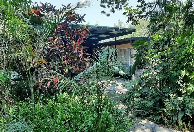 פנסיון Elephant Walk Guesthouse And Back Packers