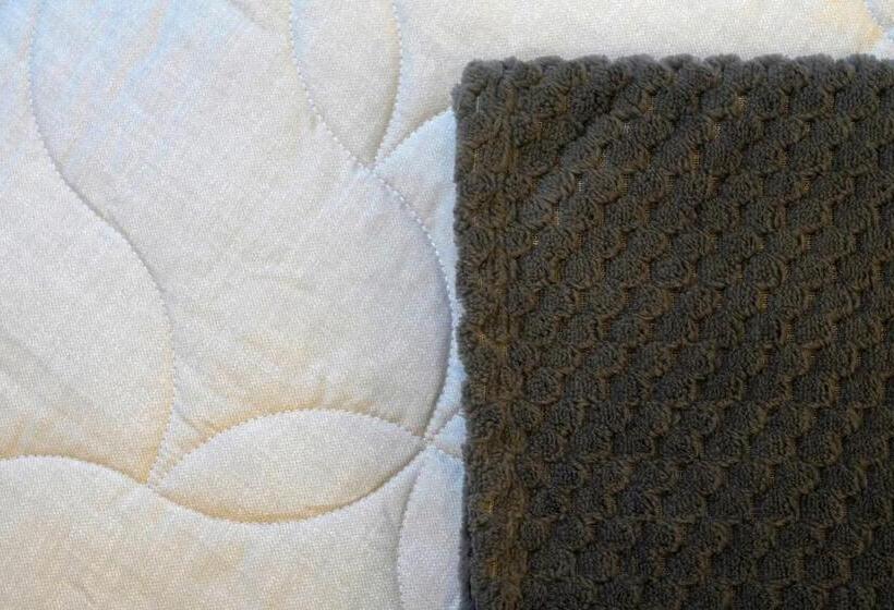 پانسیون Galleria 38