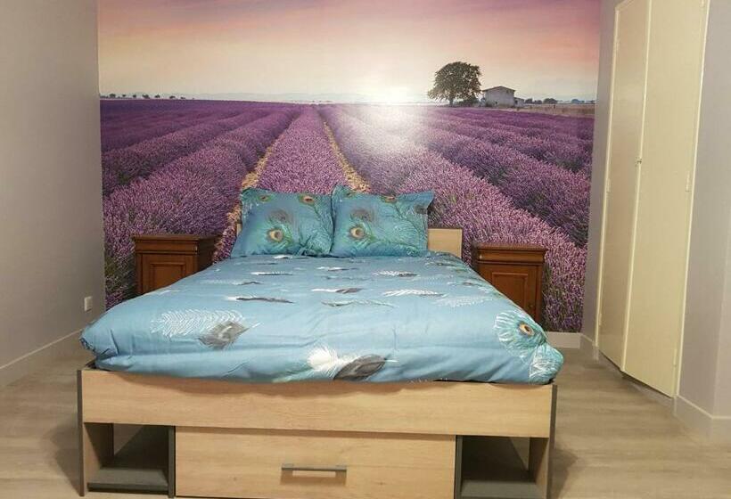 Пансион Les Volets Rouges Glace Du Pape