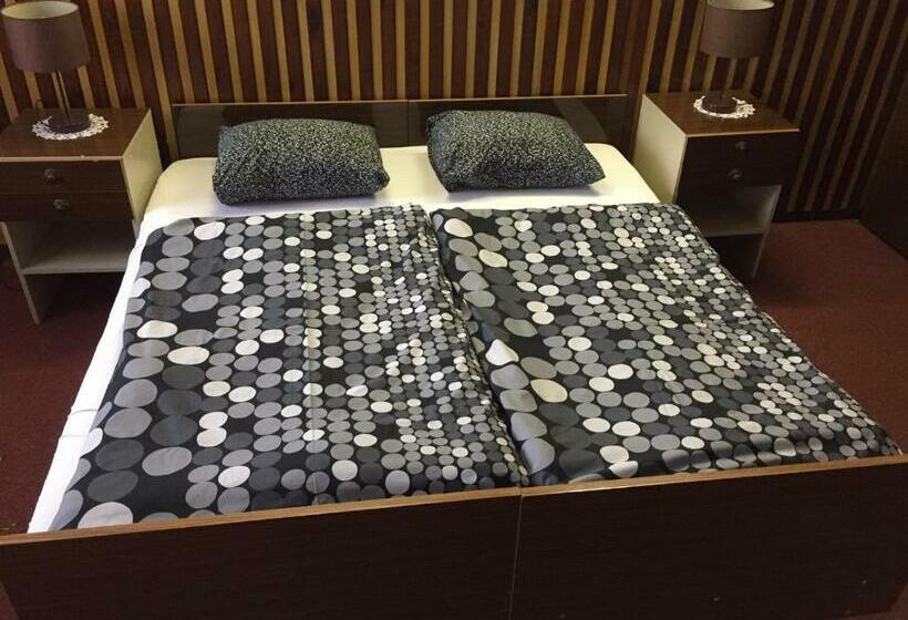 بنسيون Lipno Wave Accommodations