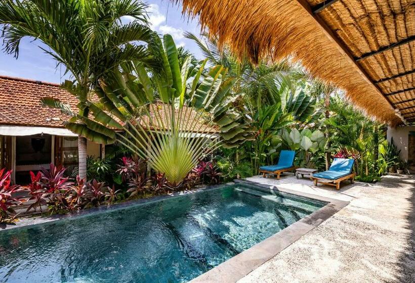 פנסיון Seaside Tribe   Boutique Surf Stay & Retreat