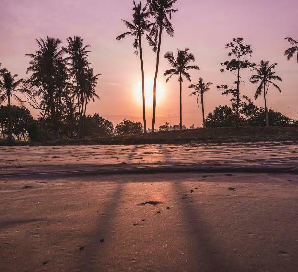 פנסיון Seaside Tribe   Boutique Surf Stay & Retreat