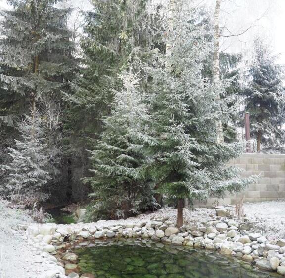 Пансион Ubytovanie&reštaurácia Bodliak