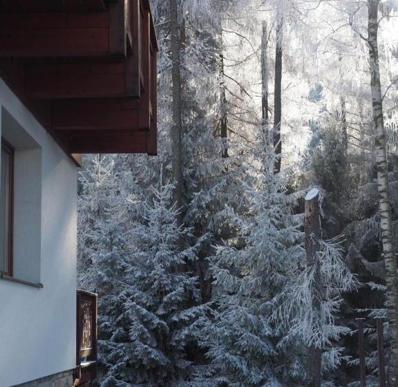 Пансион Ubytovanie&reštaurácia Bodliak