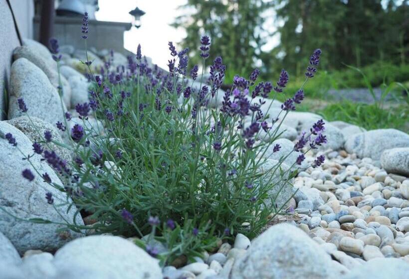 Пансион Ubytovanie&reštaurácia Bodliak
