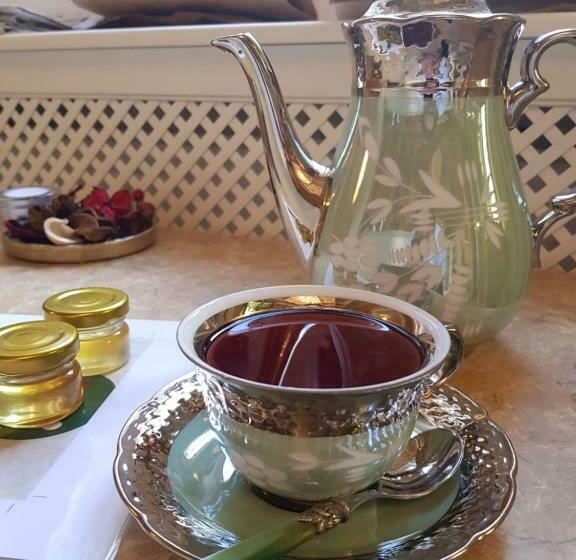 بنسيون Villa Vodicka