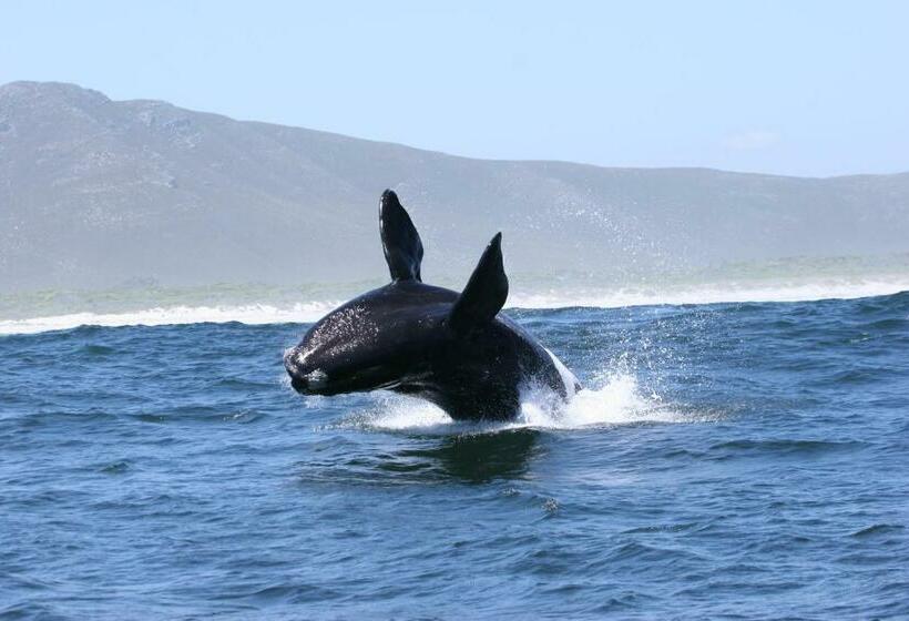 펜션 Zeezicht Guest House