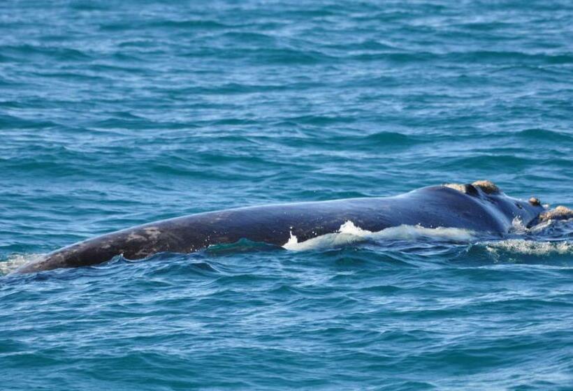 펜션 Zeezicht Guest House