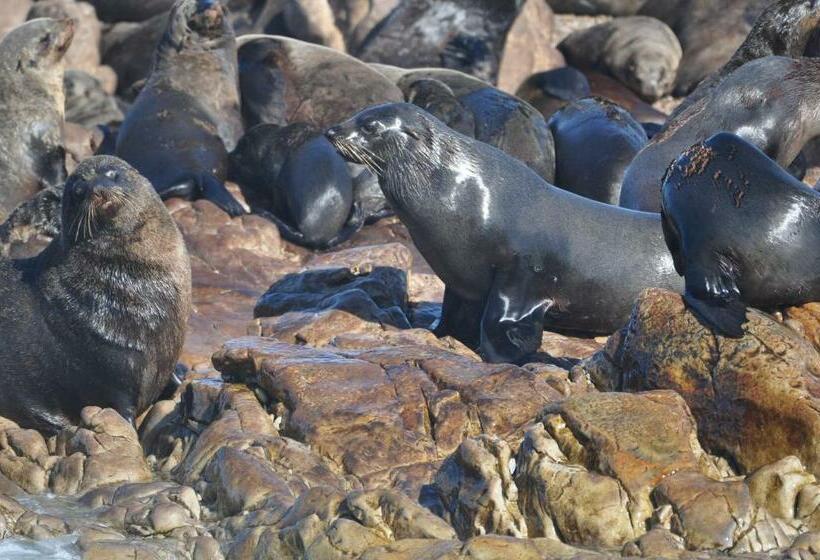 펜션 Zeezicht Guest House