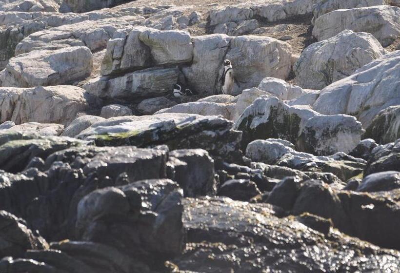 펜션 Zeezicht Guest House